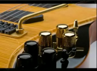 MOOG GUITAR_2